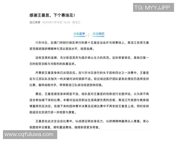 全运会特别报道：武汉篮球队拼搏历程与荣耀背后的故事