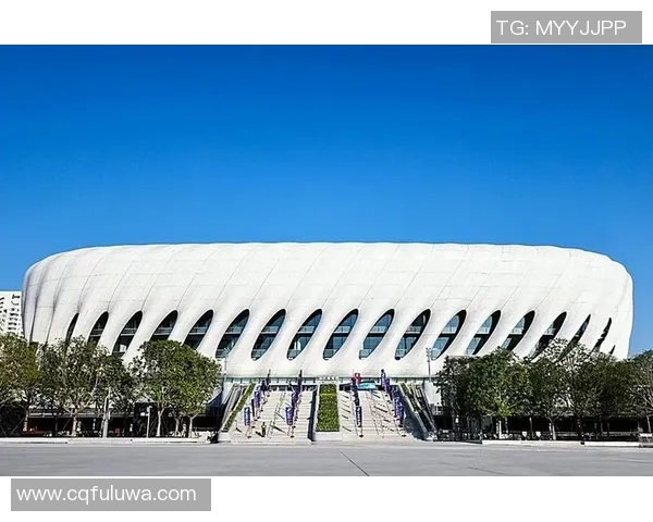 深圳羽毛球队的转型之路：从地方强队到洲际杯的辉煌征程