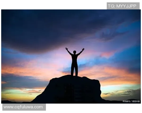 深度对话杨强排球人生的奋斗与梦想探索